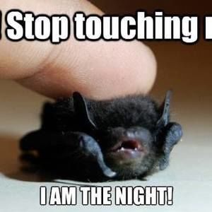 Meet your Posher, Chelsea